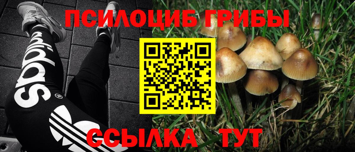 Псилоцибиновые грибы мухоморы Лабытнанги