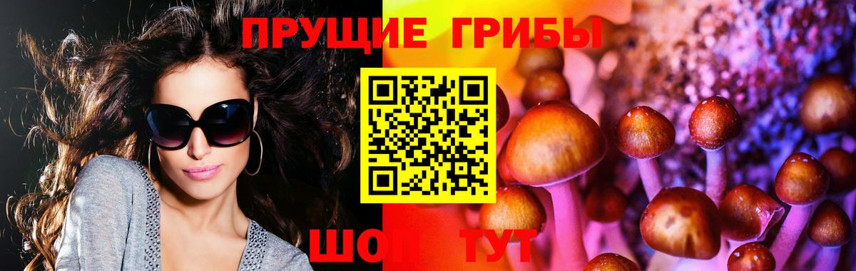 Галлюциногенные грибы MAGIC MUSHROOMS  Псилоцибиновые грибы GOLDEN TEACHER  Лабытнанги  Вход с VPN 